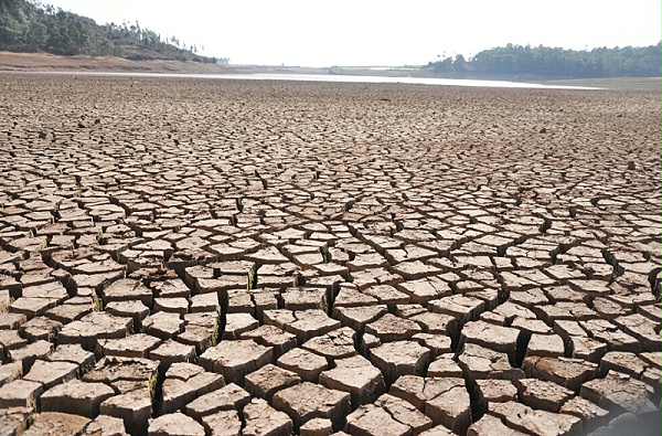 世界防治荒漠化与干旱日